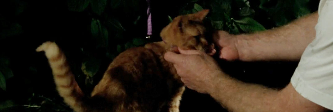 A Touch of Frost – “If Dogs Run Free, Parts 1 and 2”