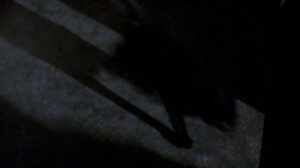 Without Warning (1980)