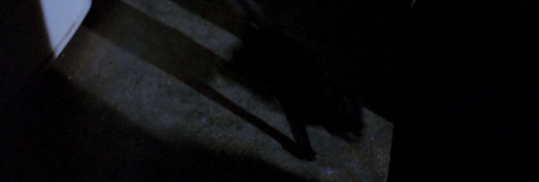 Without Warning (1980)