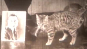 The Cat’s Meow (1924)