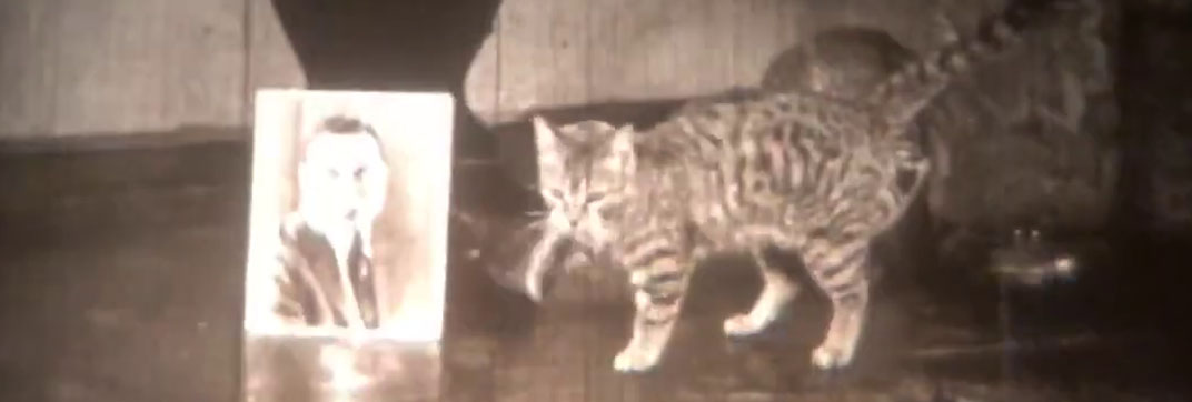 The Cat’s Meow (1924)