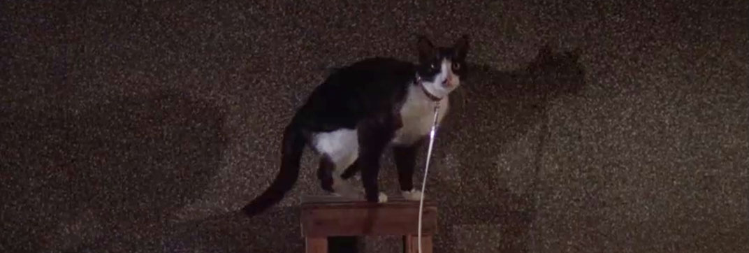 Charlie’s Angels – “Angels in Vegas”