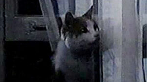 Eischied – “Fire for Hire”