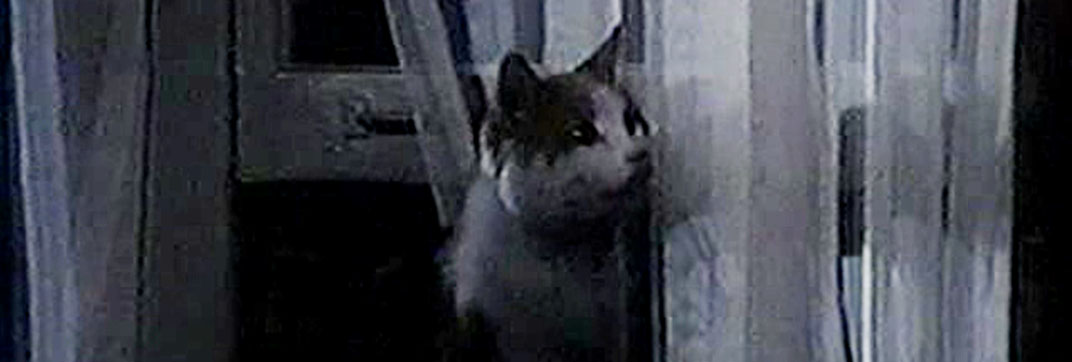 Eischied – “Fire for Hire”