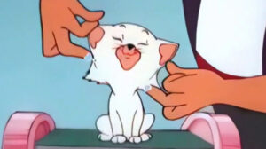 Kitty Cornered (1955)