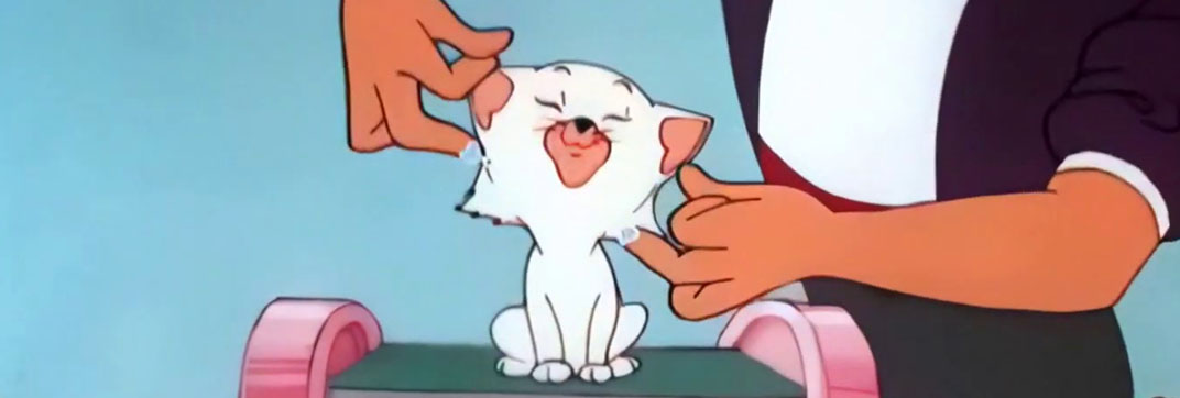 Kitty Cornered (1955)