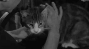 Route 66 – “Build Your Houses with Their Backs to the Sea”