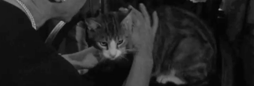 Route 66 – “Build Your Houses with Their Backs to the Sea”