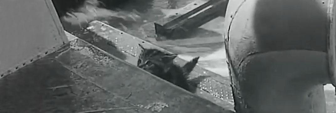 For Those in Peril (1944)