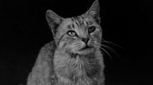 House of Horrors (1946)