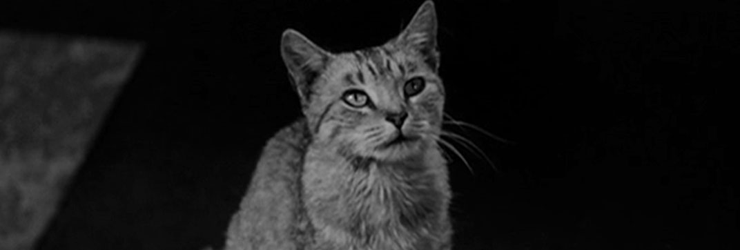 House of Horrors (1946)