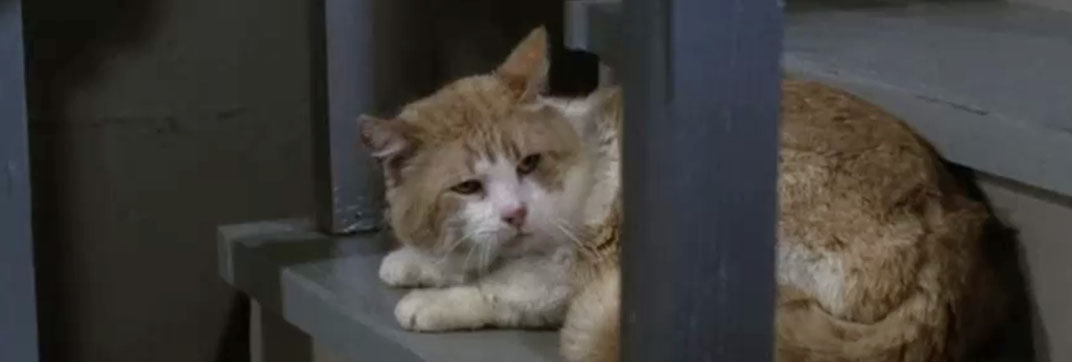 Mission: Impossible – “Blind”