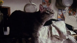 Next Stop, Greenwich Village (1976)