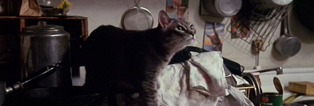 Next Stop, Greenwich Village (1976)