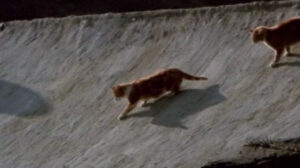 Under Milk Wood (1971)