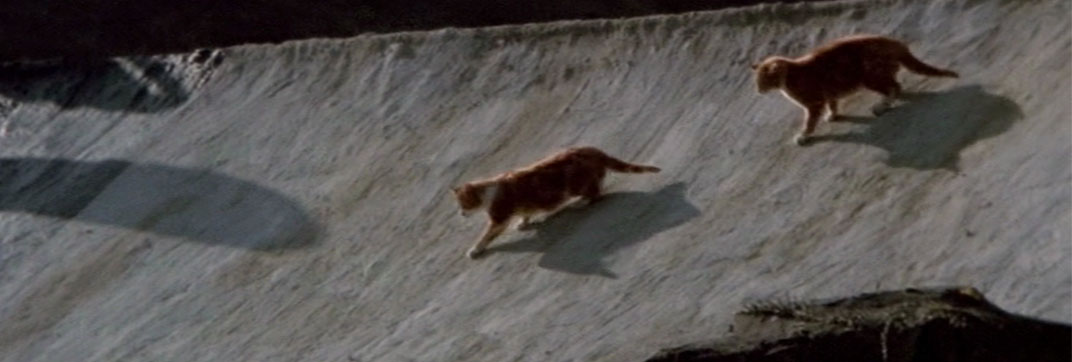 Under Milk Wood (1971)