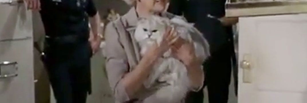 Adam-12 – “Log 55 – Missing Child”