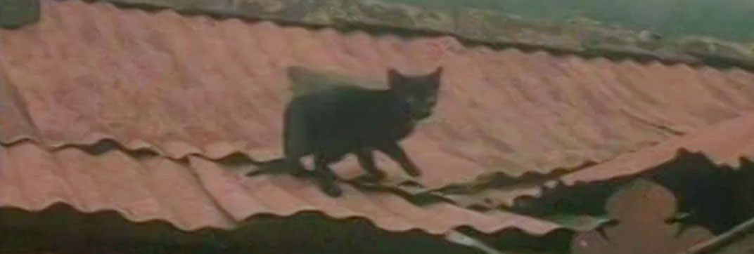 Carne de tu carne (1983)