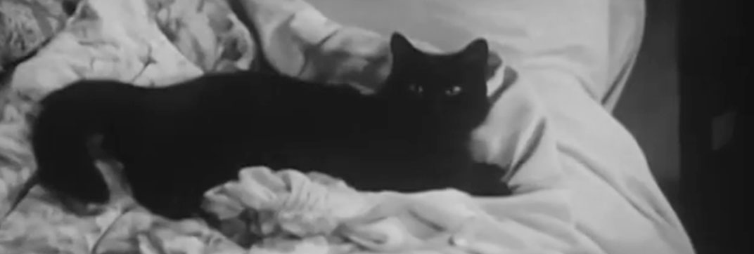 The Cure for Love (1949)