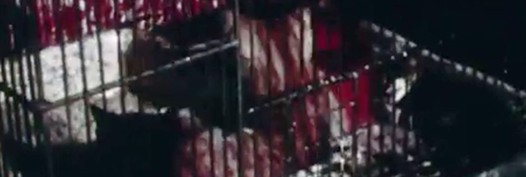 Evan’s Corner (1969)