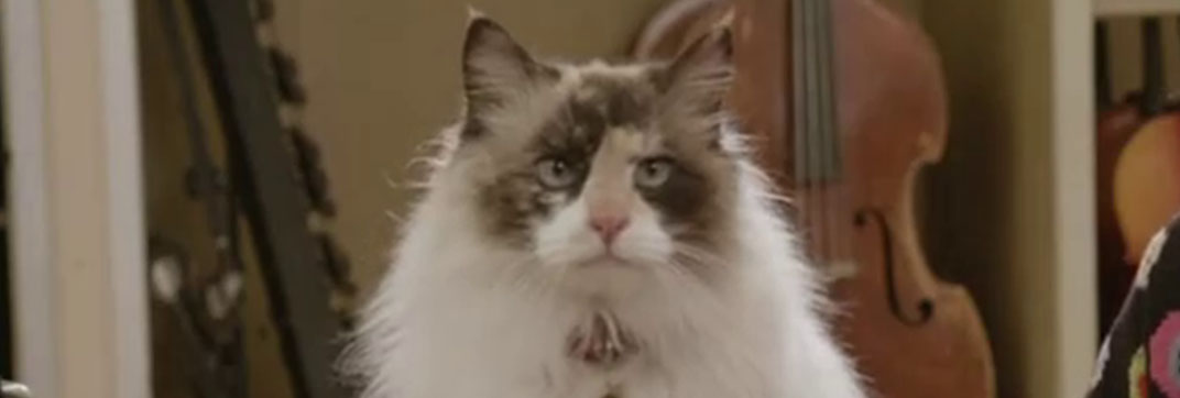 Fred 2: Night of the Living Fred (2011)