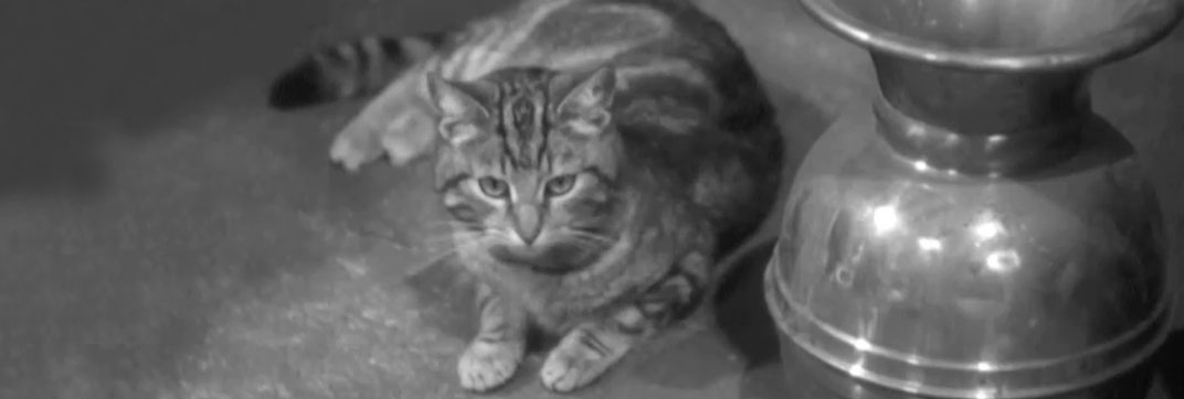 Go Chase Yourself (1938)