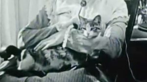 Huckleberry Finn (1920)