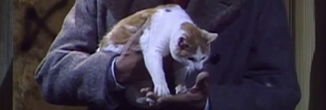 The Jeffersons – “And the Doorknobs Shined Like Diamonds”