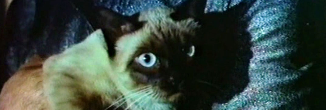 The Killer Wore Gloves (1974)