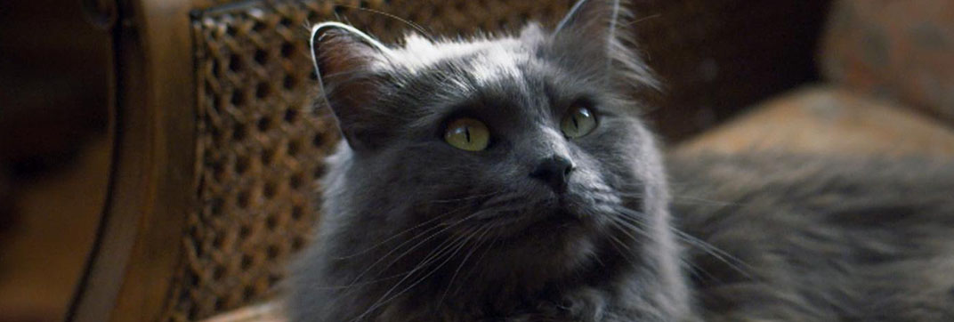 The Marlow Murder Club – “Season One”