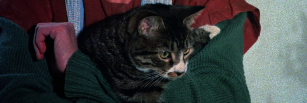 Memories Within Miss Aggie (1974)