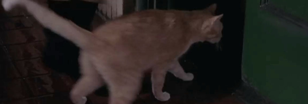 What Women Want (2000)