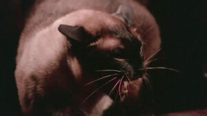 Black Magic 2 (1976)