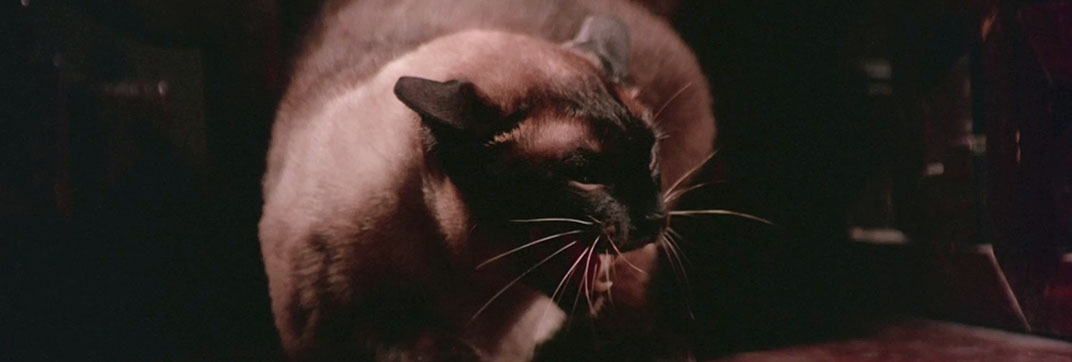 Black Magic 2 (1976)