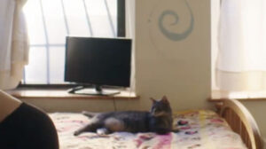 The Bracket Theory (2017)