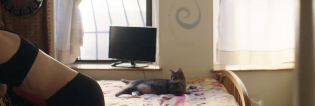 The Bracket Theory (2017)