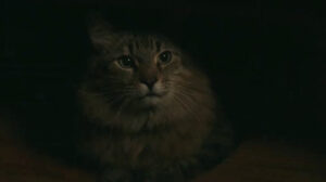 Caught Stealing (2025)