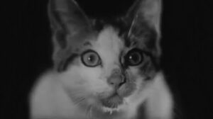 Cross of Love (1946)