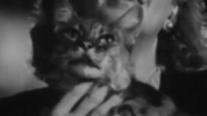 La muerte camina en la lluvia (1948)