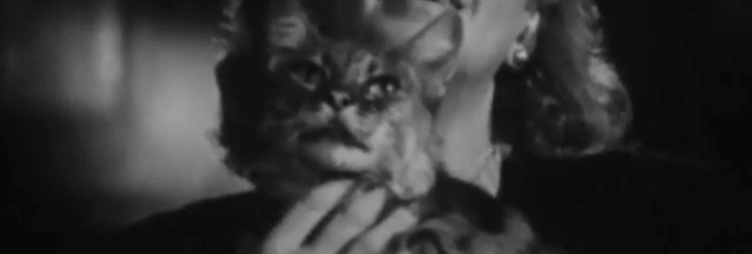 La muerte camina en la lluvia (1948)