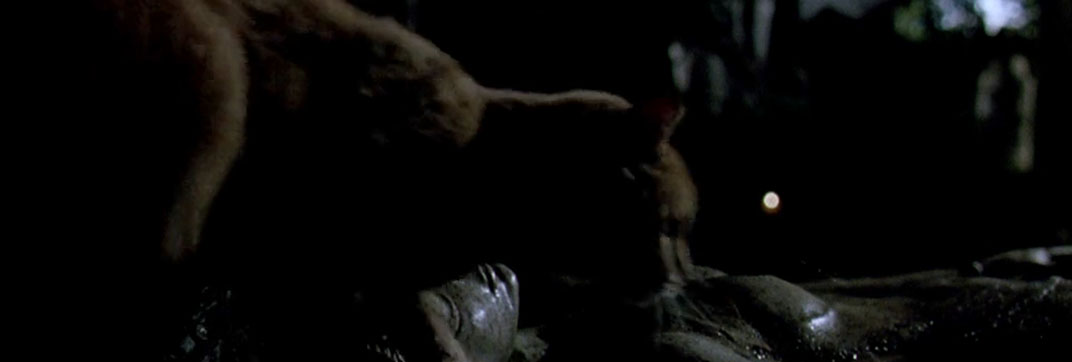 Dellamorte Dellamore (1994)