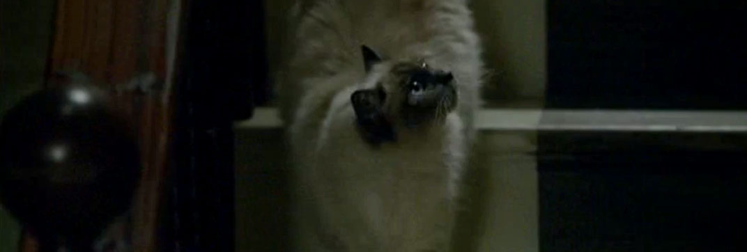 Doctor Who – “The Lodger”