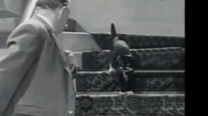 The Embezzler (1954)