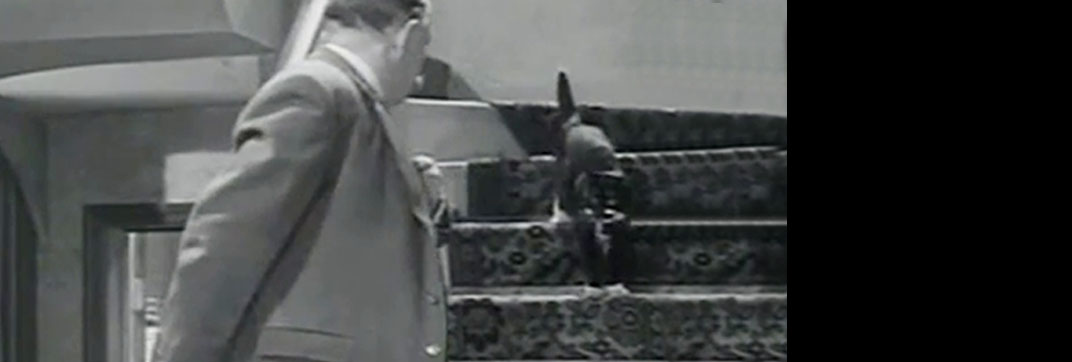 The Embezzler (1954)