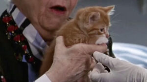 ER – “Tandem Repeats”