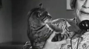 The Goldbergs – “Sammy Gets Married”