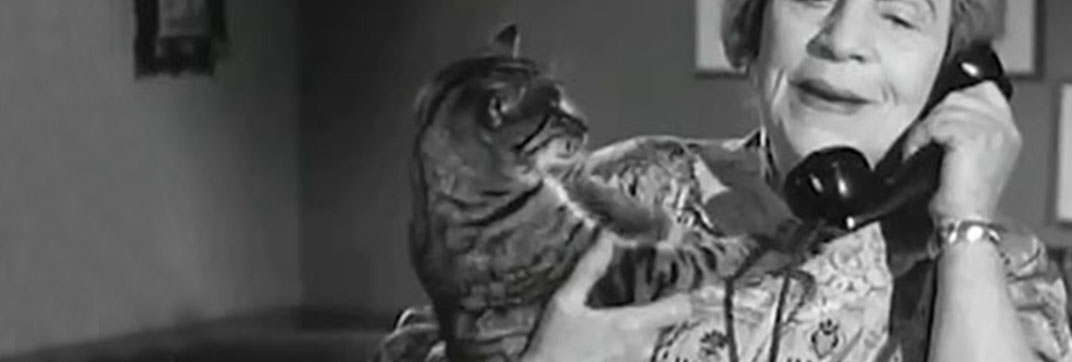 The Goldbergs – “Sammy Gets Married”