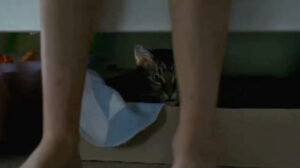 Goodnight Mommy (2014)