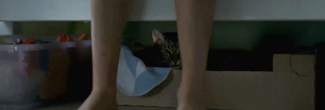 Goodnight Mommy (2014)