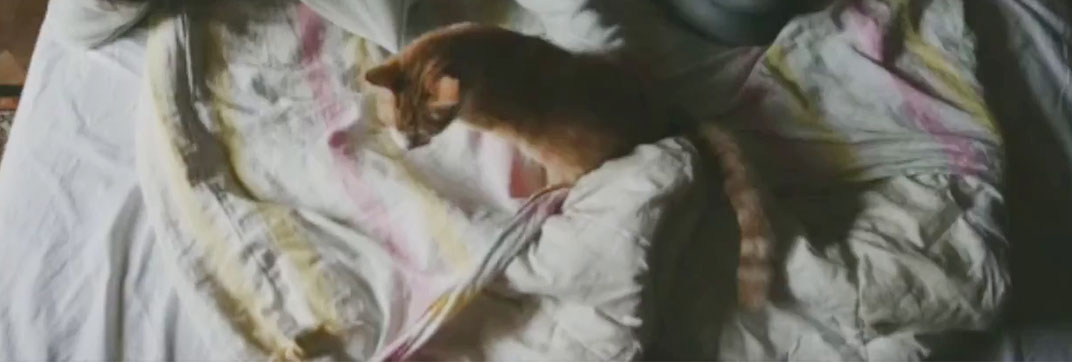 Green Pastures (2017)